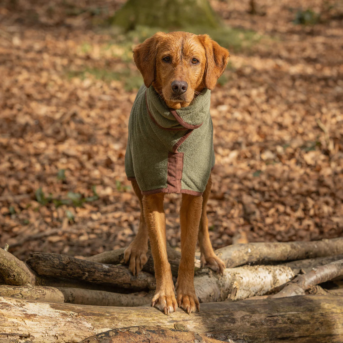 Ruff & Tumble Country Dog Drying Coat (corduroy trim)