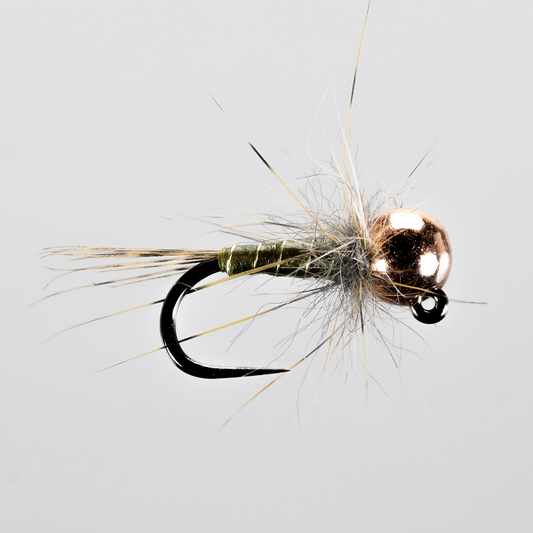 Steve Bircumshaw Little Olive