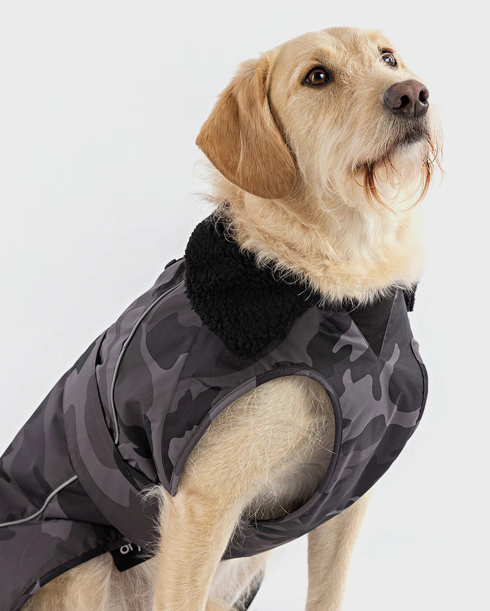 dryrobe® Dog