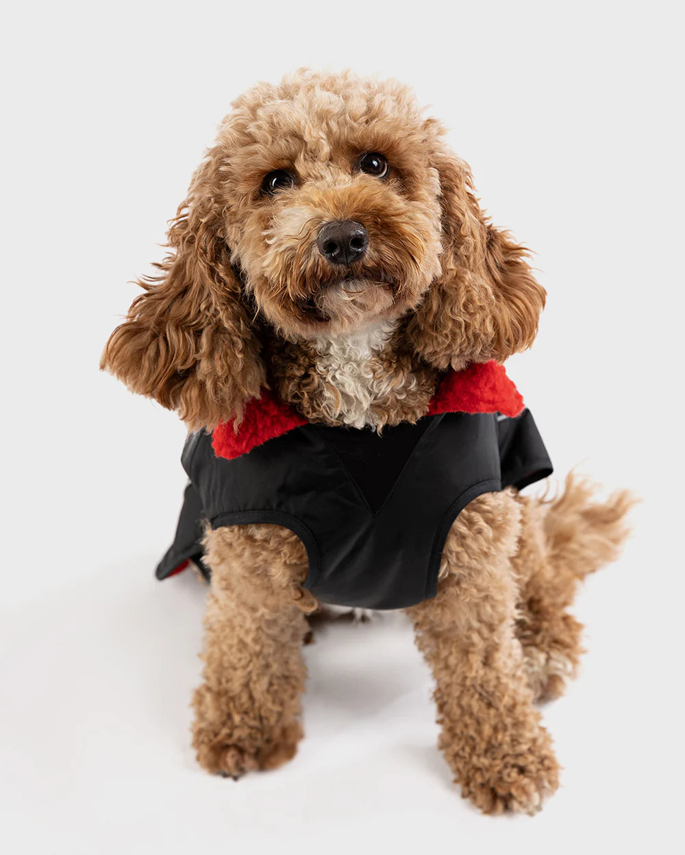 dryrobe® Dog