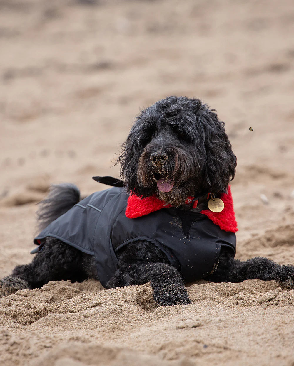 dryrobe® Dog