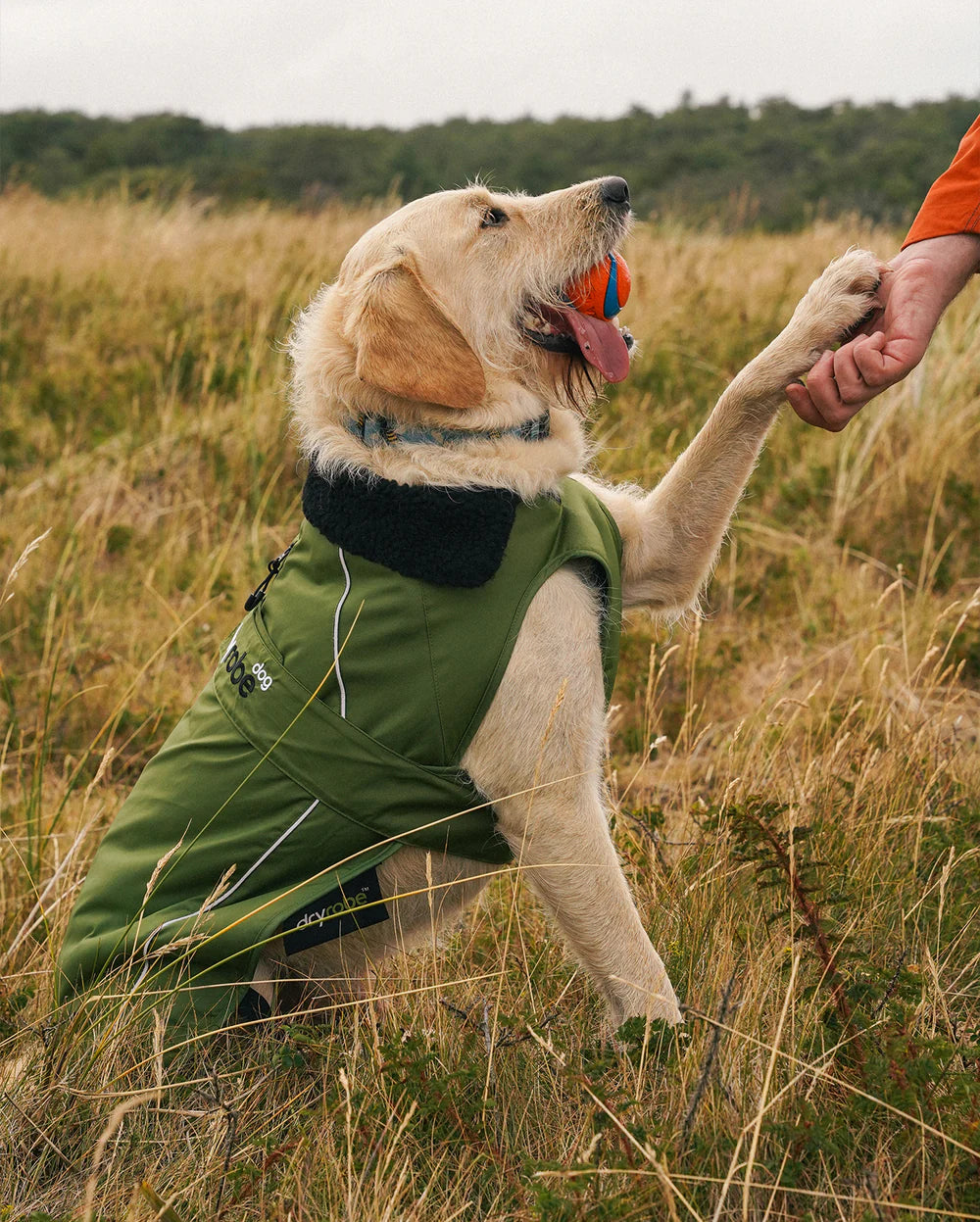 dryrobe® Dog