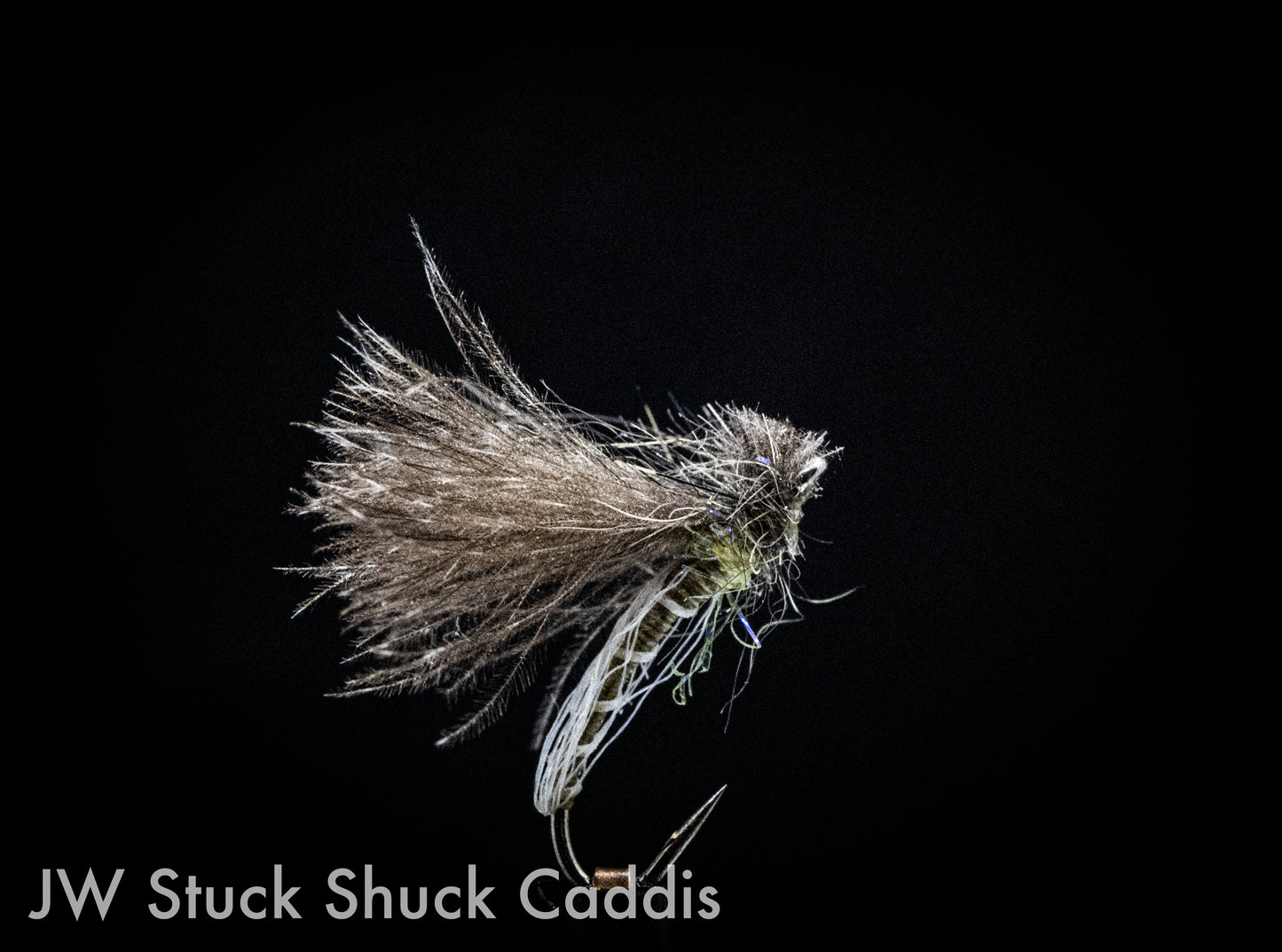 Jack Westbury Stuck Shuck Caddis