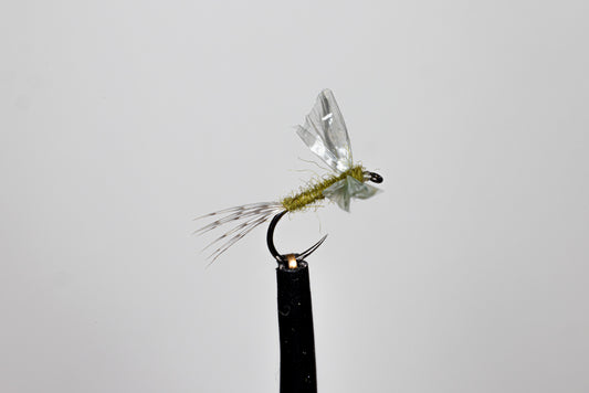 Phillippa Hake Don's Casualty Dun